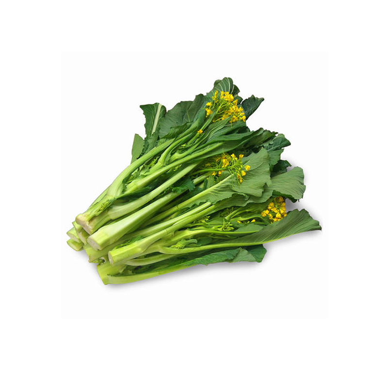 high quality fresh choy sum - product details - globaltradeweek.
