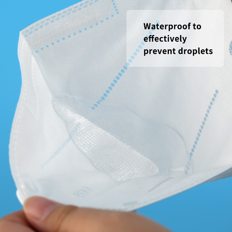 FACE MASK241.jpg