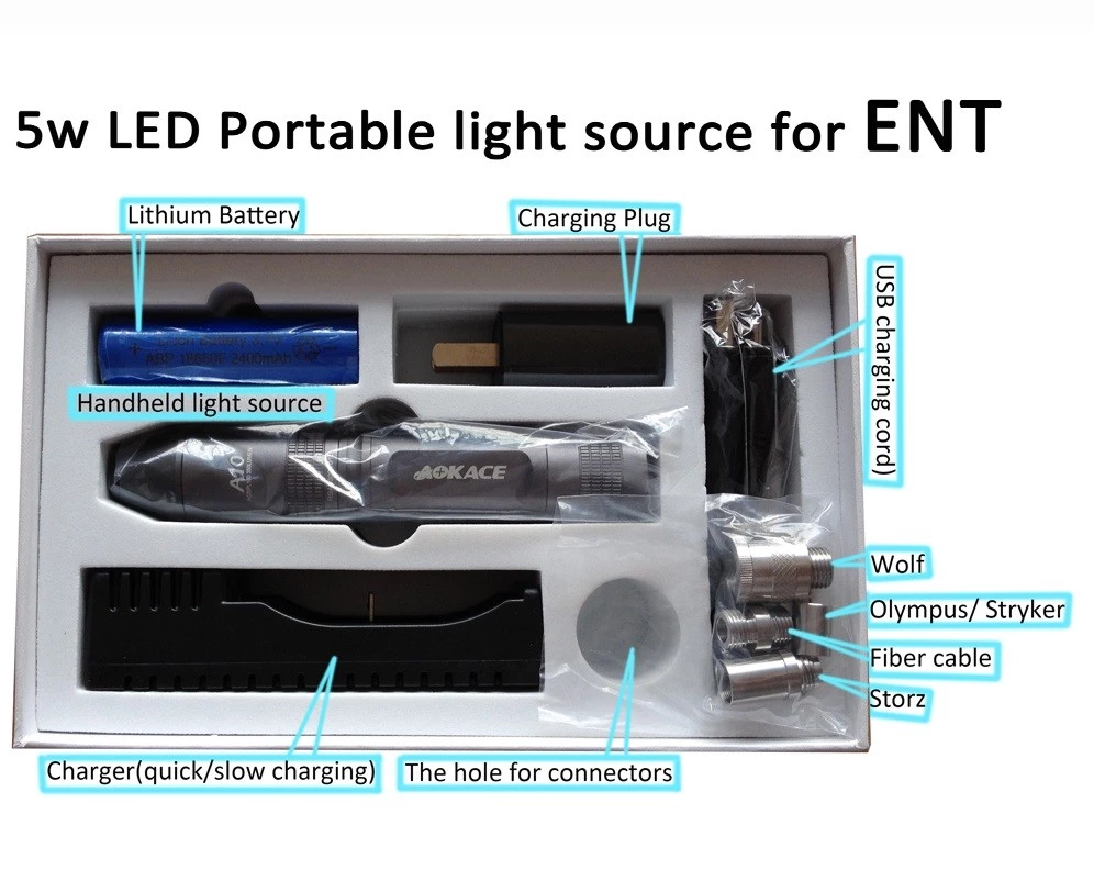New product hot sale ENT endoscopes mini light source handheld