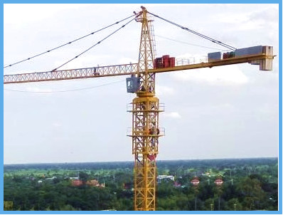 Self Erecting  Tower Crane Price