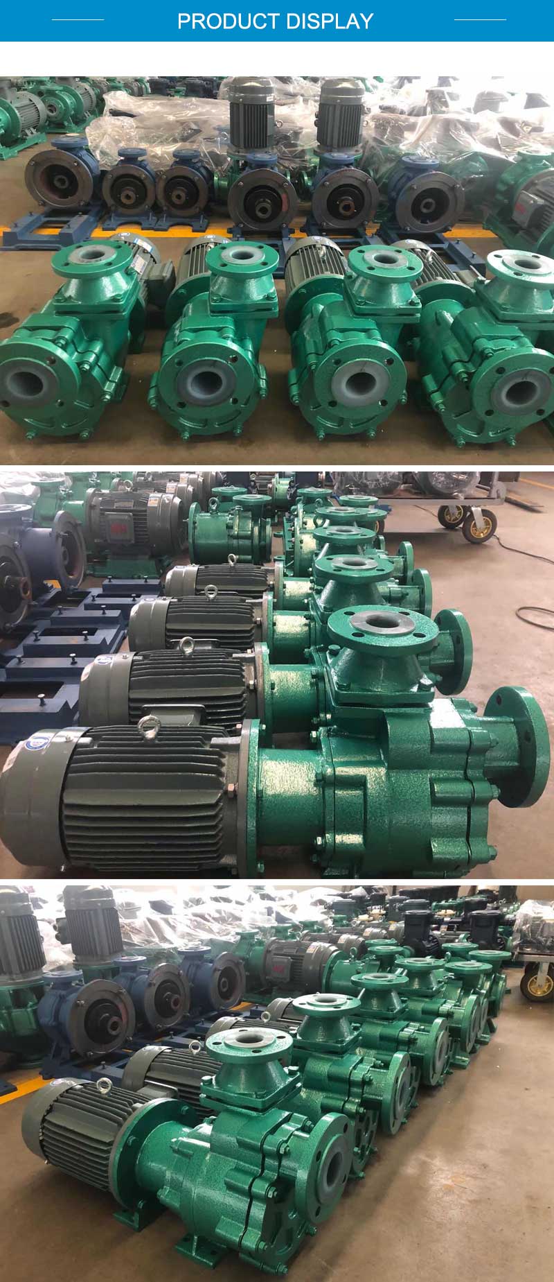 ZFT1.jpg