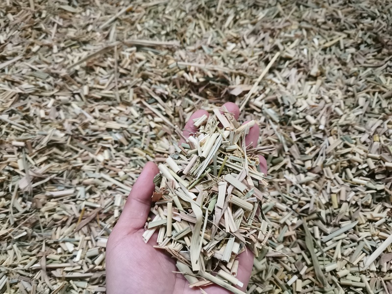 铡草效果.jpg 铡草效果.jpg