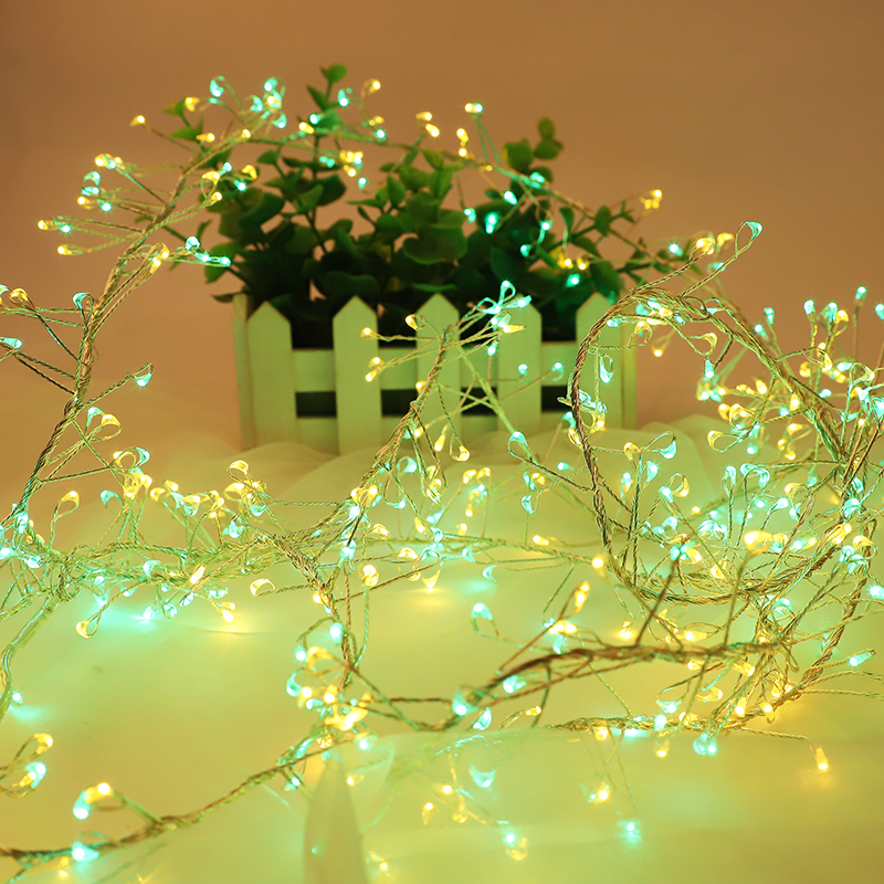 IMG_2812-传.JPG