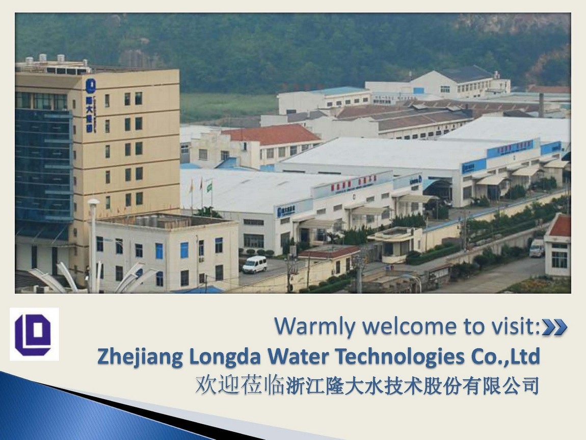 Company Introduction-- Longda-2019_页面_01.jpg