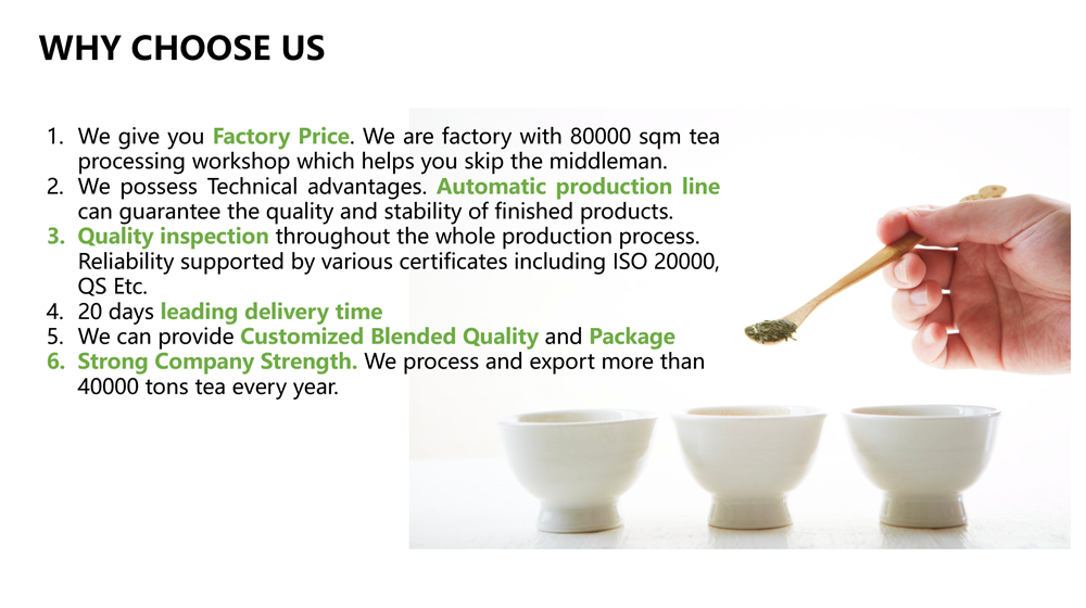 why choose us.png why choose us.png