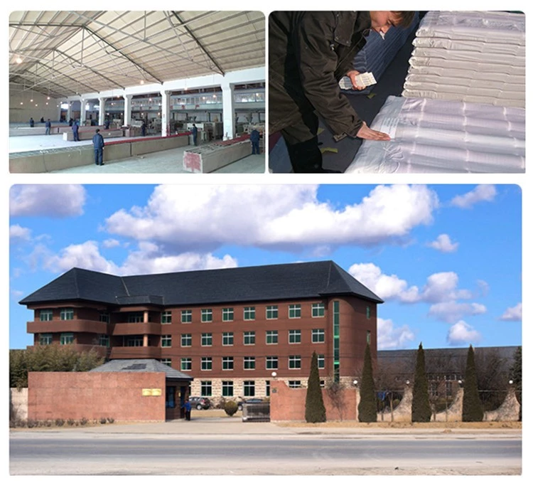 Anti-corrosion and heat insulation, resin coated coil hot rolled steel, cheap PPGI steel coils for roofing tile and walls
