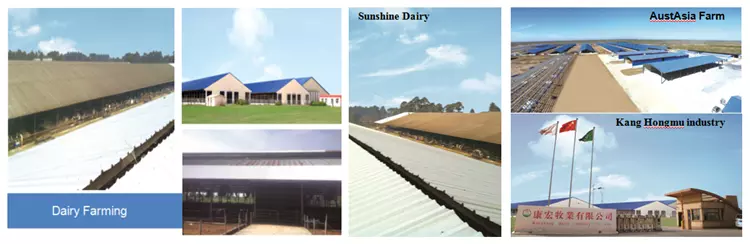 Anti-corrosion and heat insulation, resin coated coil hot rolled steel, cheap PPGI steel coils for roofing tile and walls