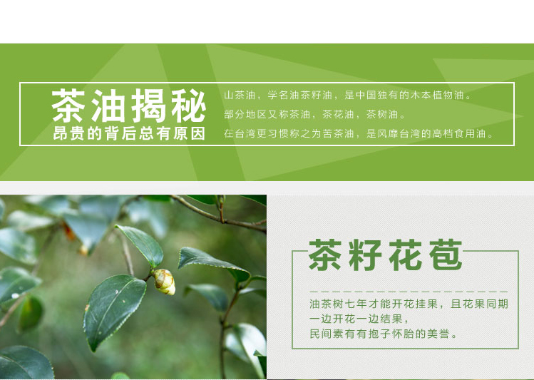 山茶油祥情_04.jpg
