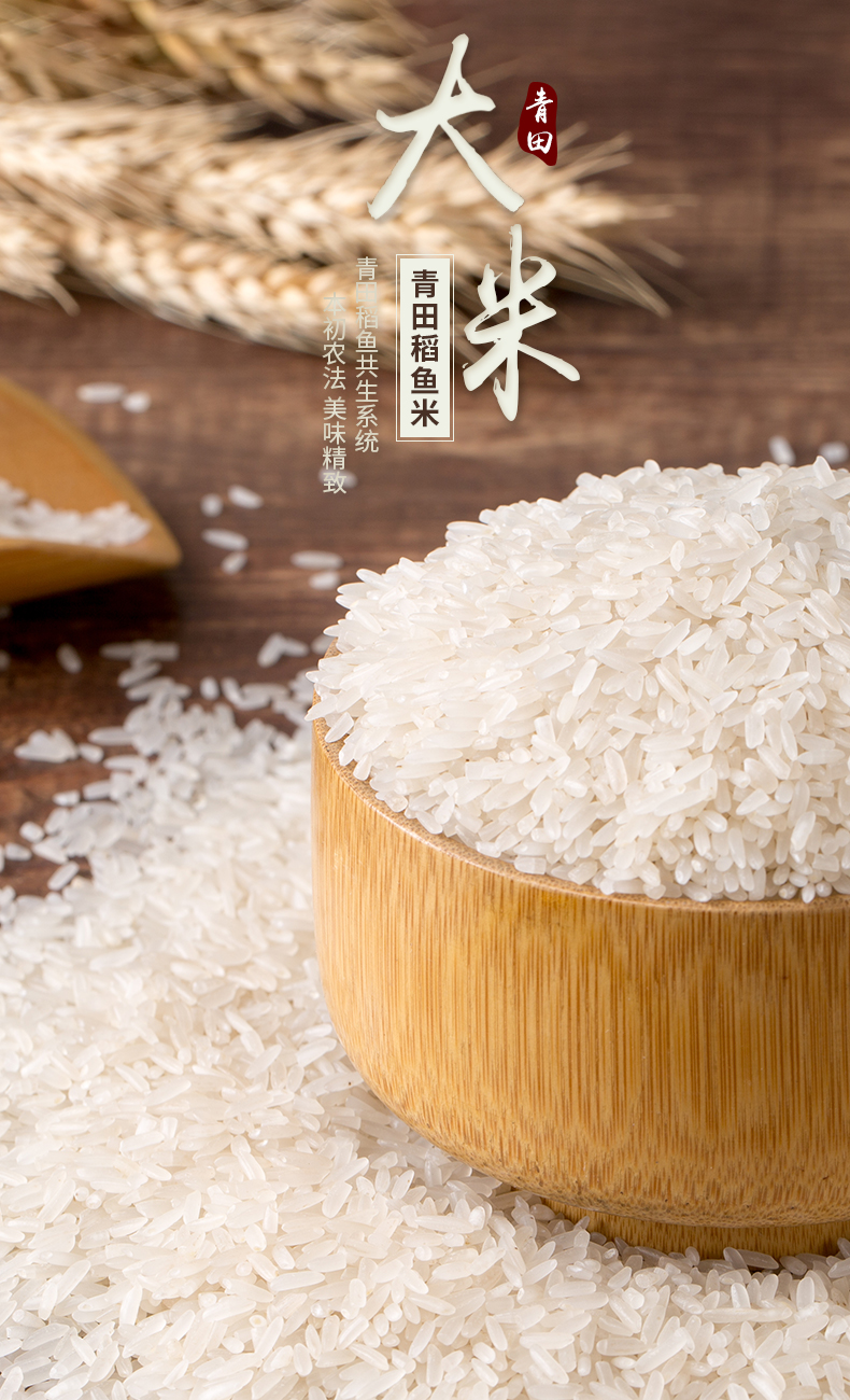 白米_01.jpg 白米_01.jpg