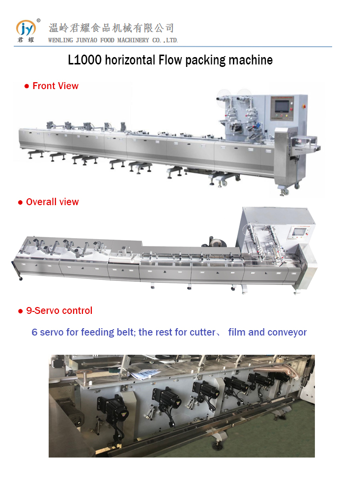 L1000-1.jpg