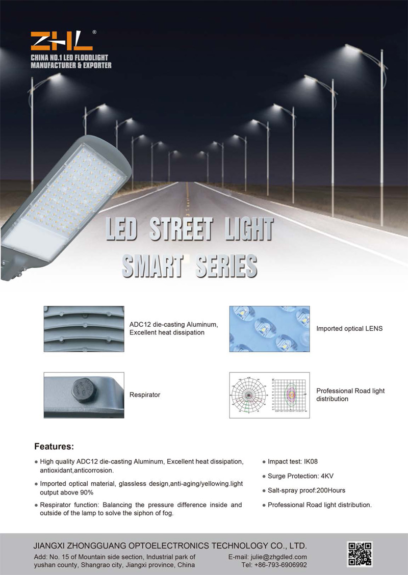 Smart Series LED Street Light 800.jpg