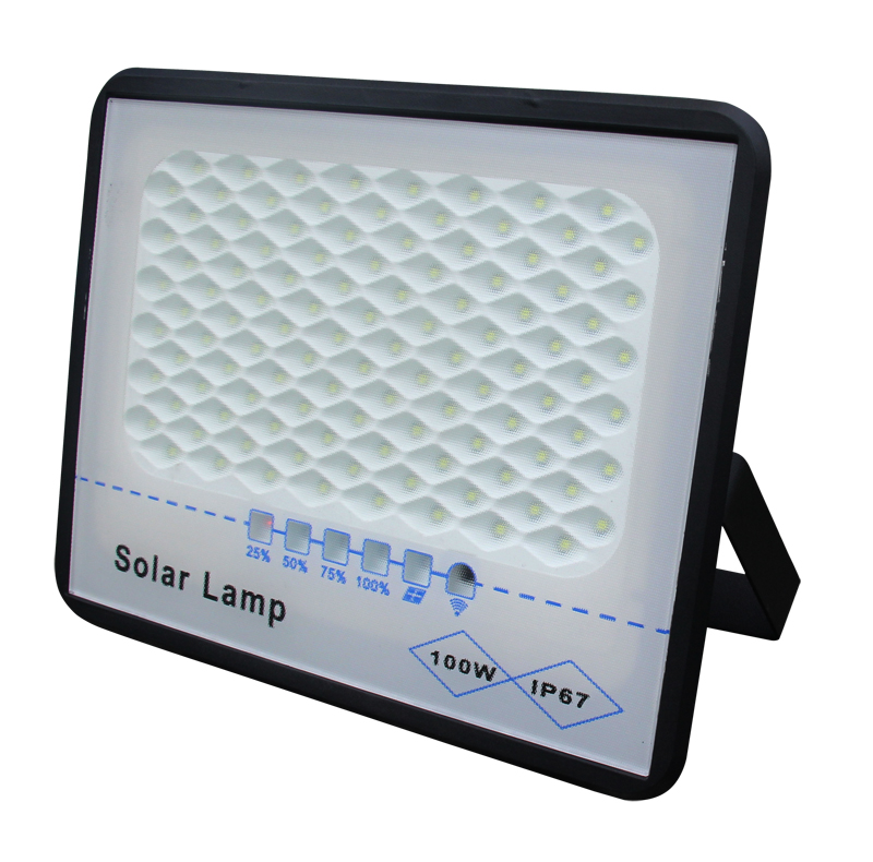 100W-1 800.jpg