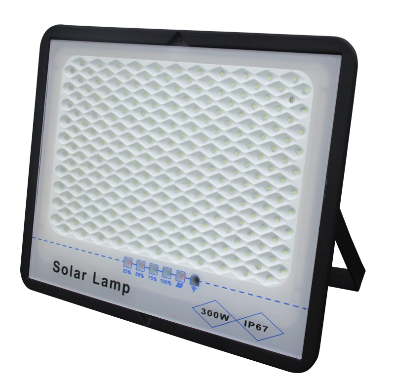 300W-1 800.jpg