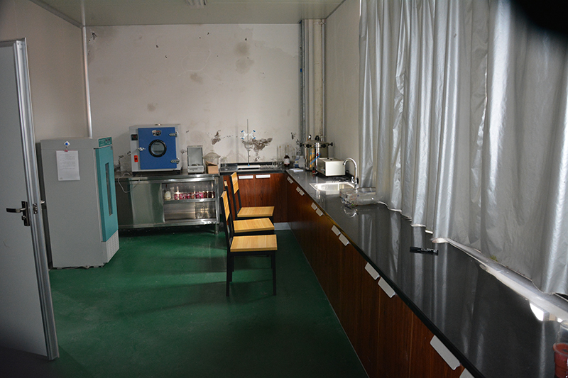 DSC_0462.JPG