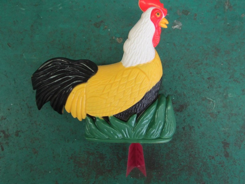 rooster 2.jpg