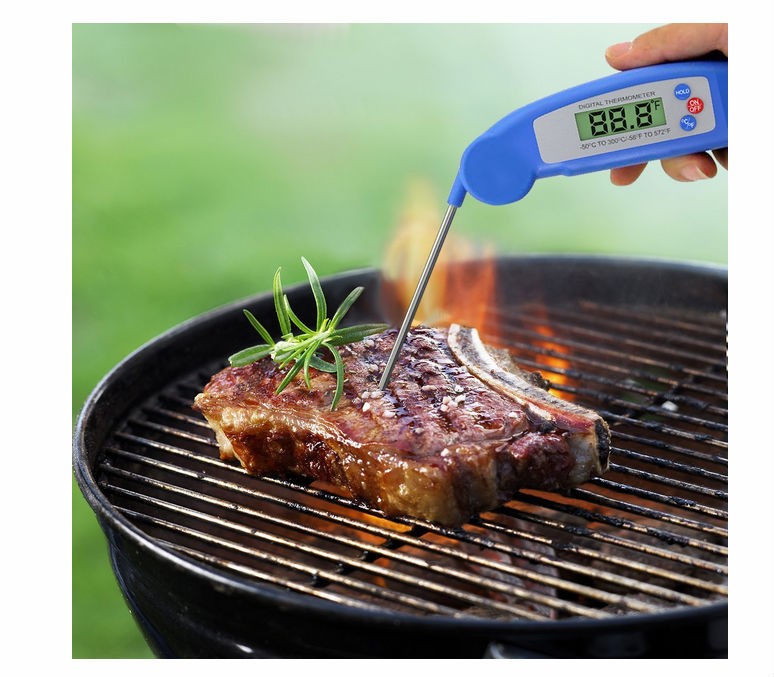BBQ+digital+thermometer.jpg