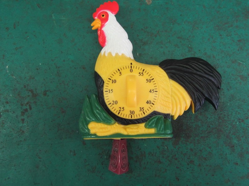 rooster 1.jpg