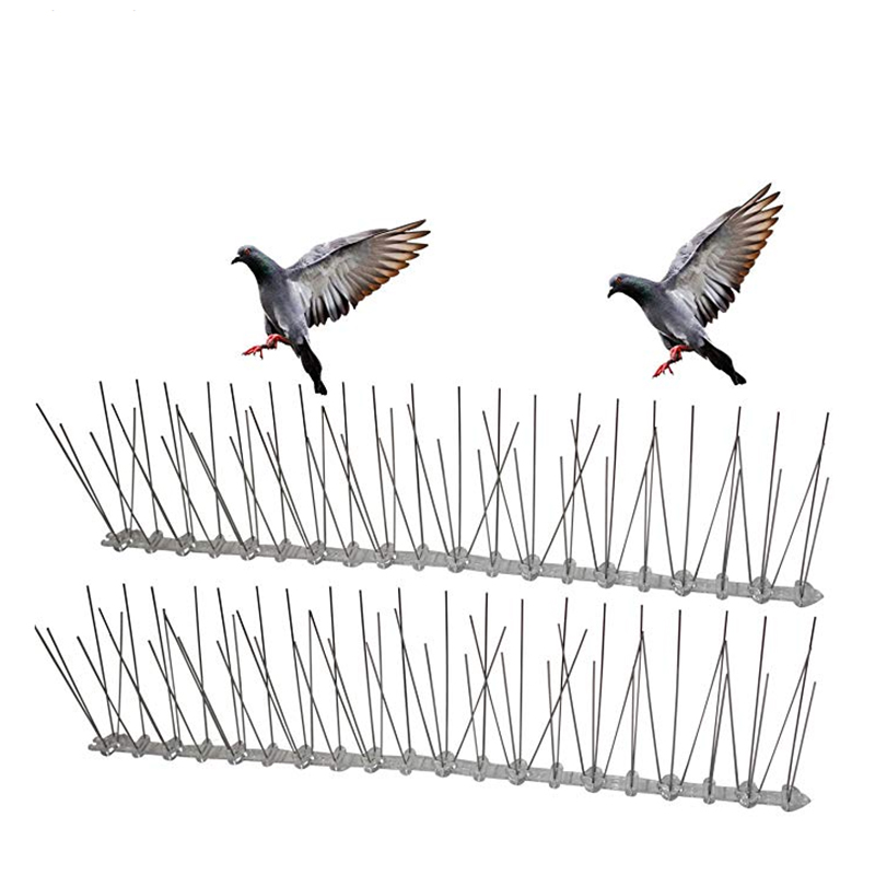 bird spike.jpg bird spike.jpg