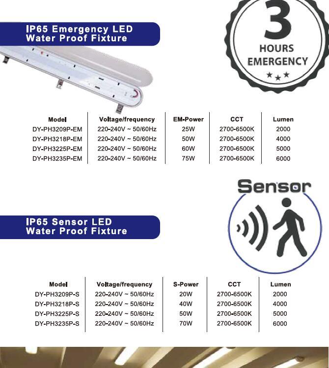 Changzhou-D-Y-Electrical-Lighting-Co-Ltd- (2).jpg