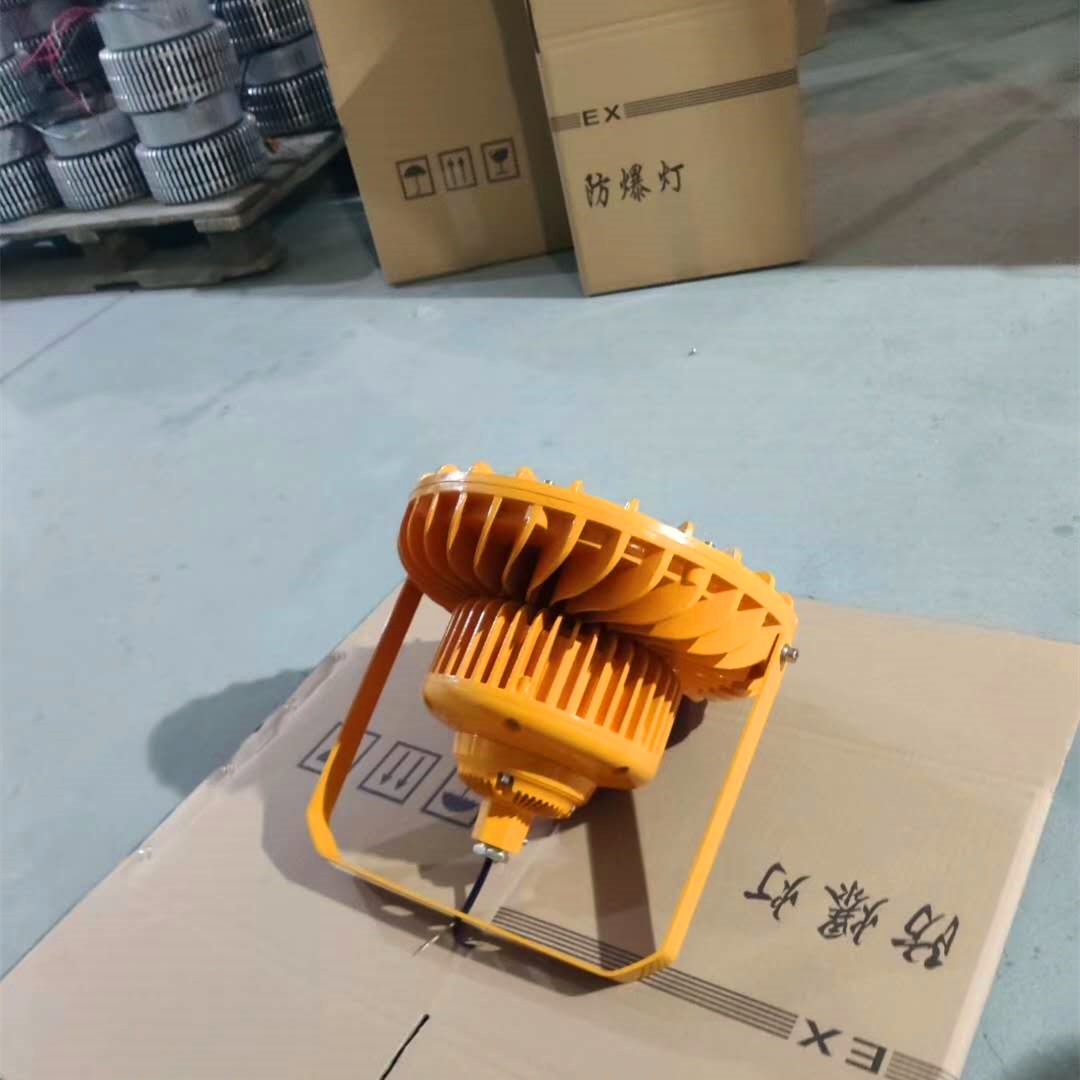圆灰防爆灯4.jpg 圆灰防爆灯4.jpg