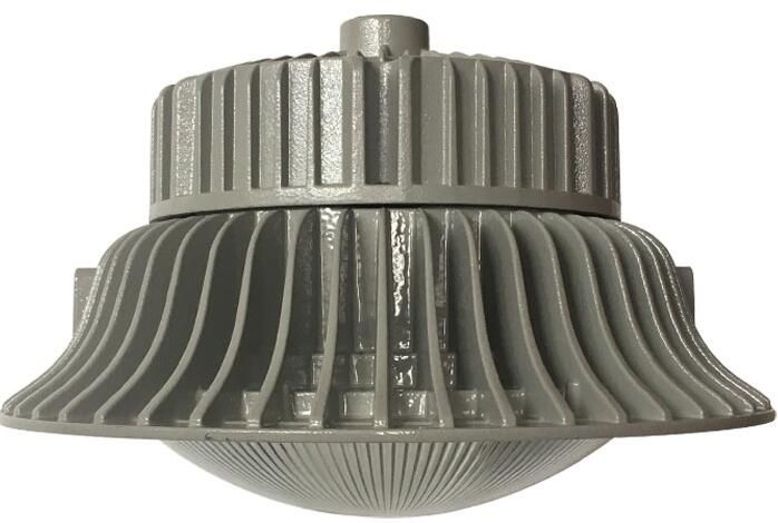 100W OPG-3.jpg 100W OPG-3.jpg
