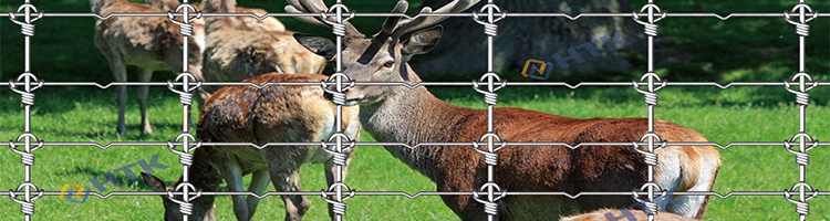 fixed knot fence5.jpg fixed knot fence5.jpg