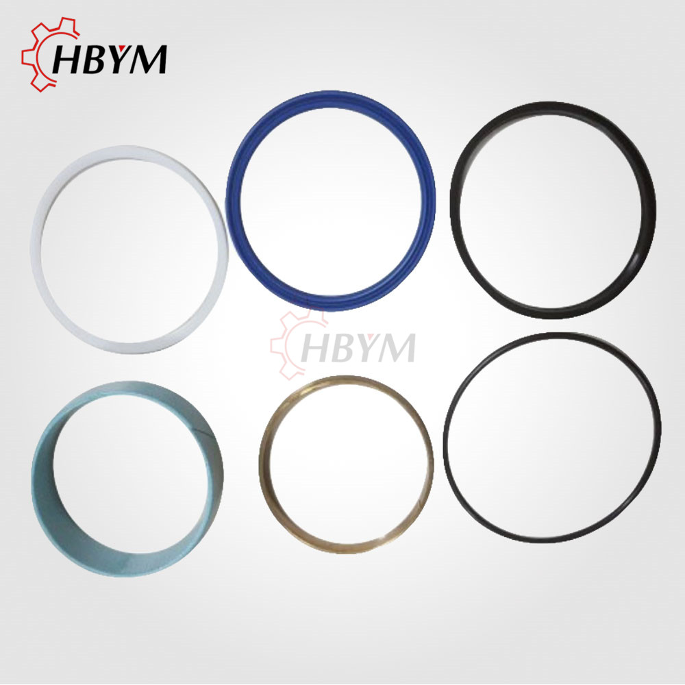 Q80 plunger cylinder seal kits.jpg