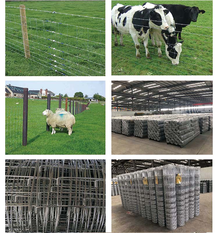 hinge joint fence9.jpg hinge joint fence9.jpg