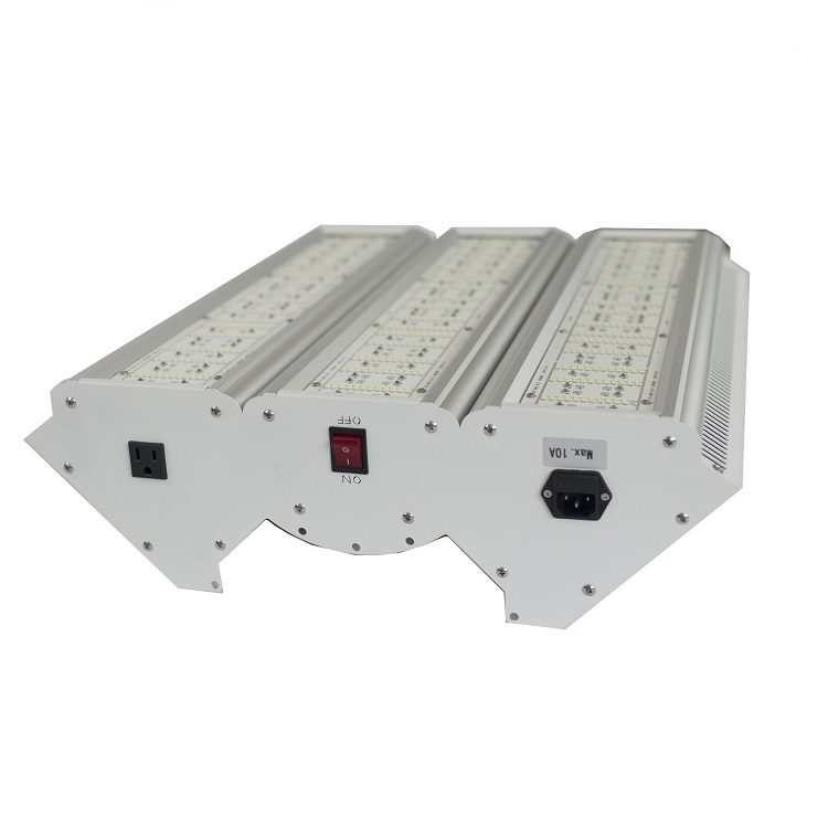 R26A0006.jpg