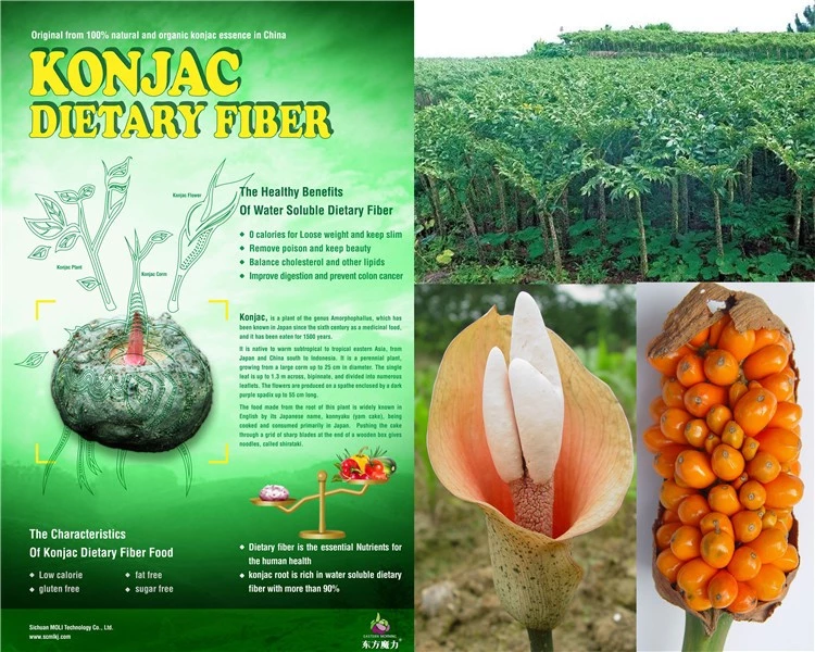 0.2 Weight (kg)organic instant shirataki noodles Low-cal konjac pasta pure fiber ready to eat konjac noodles