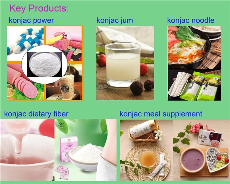0.2 Weight (kg)organic instant shirataki noodles Low-cal konjac pasta pure fiber ready to eat konjac noodles