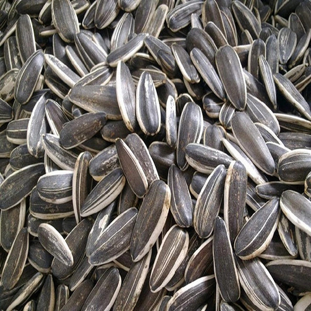 sunflower seeds