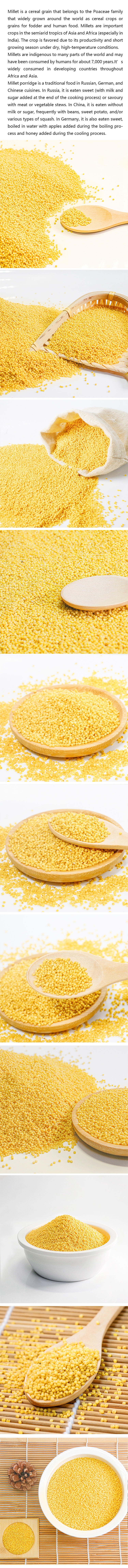 Conventional Long Dehydration Organic Millet