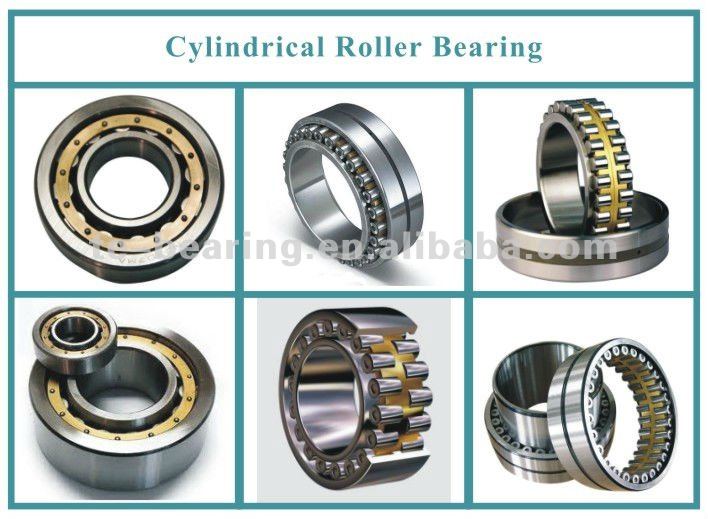 Cylindrical roller bearing