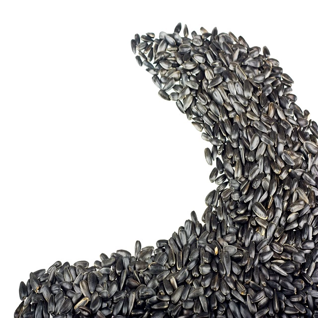 sunflower seeds