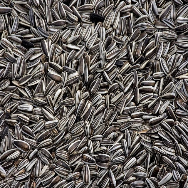 sunflower seeds