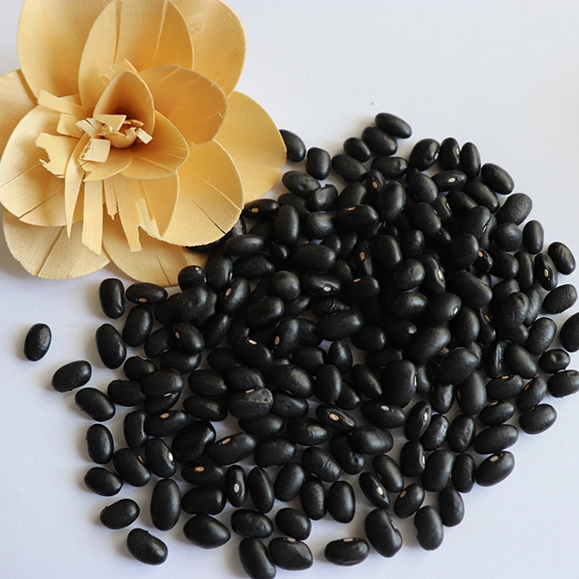 High Quality Organic Chinese Small Black Kidney Bean
