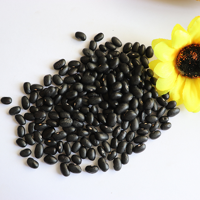 High Quality Organic Chinese Small Black Kidney Bean