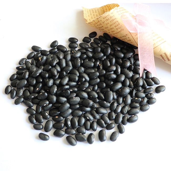 High Quality Organic Chinese Small Black Kidney Bean