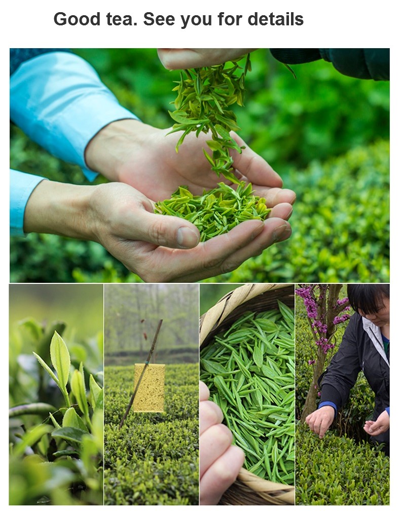 好茶细节.jpg 好茶细节.jpg