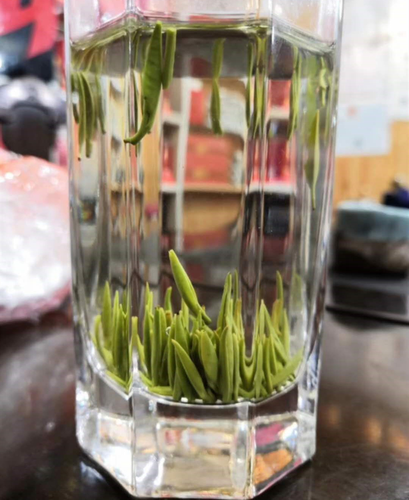 翠芽4.jpg