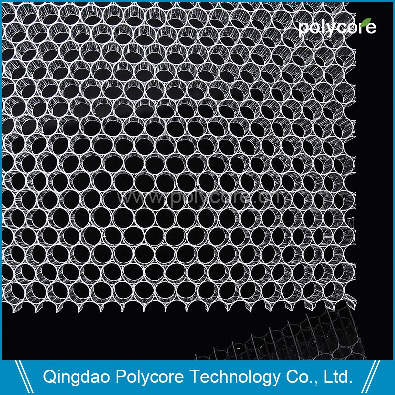PC honeycomb transparent big core.jpg