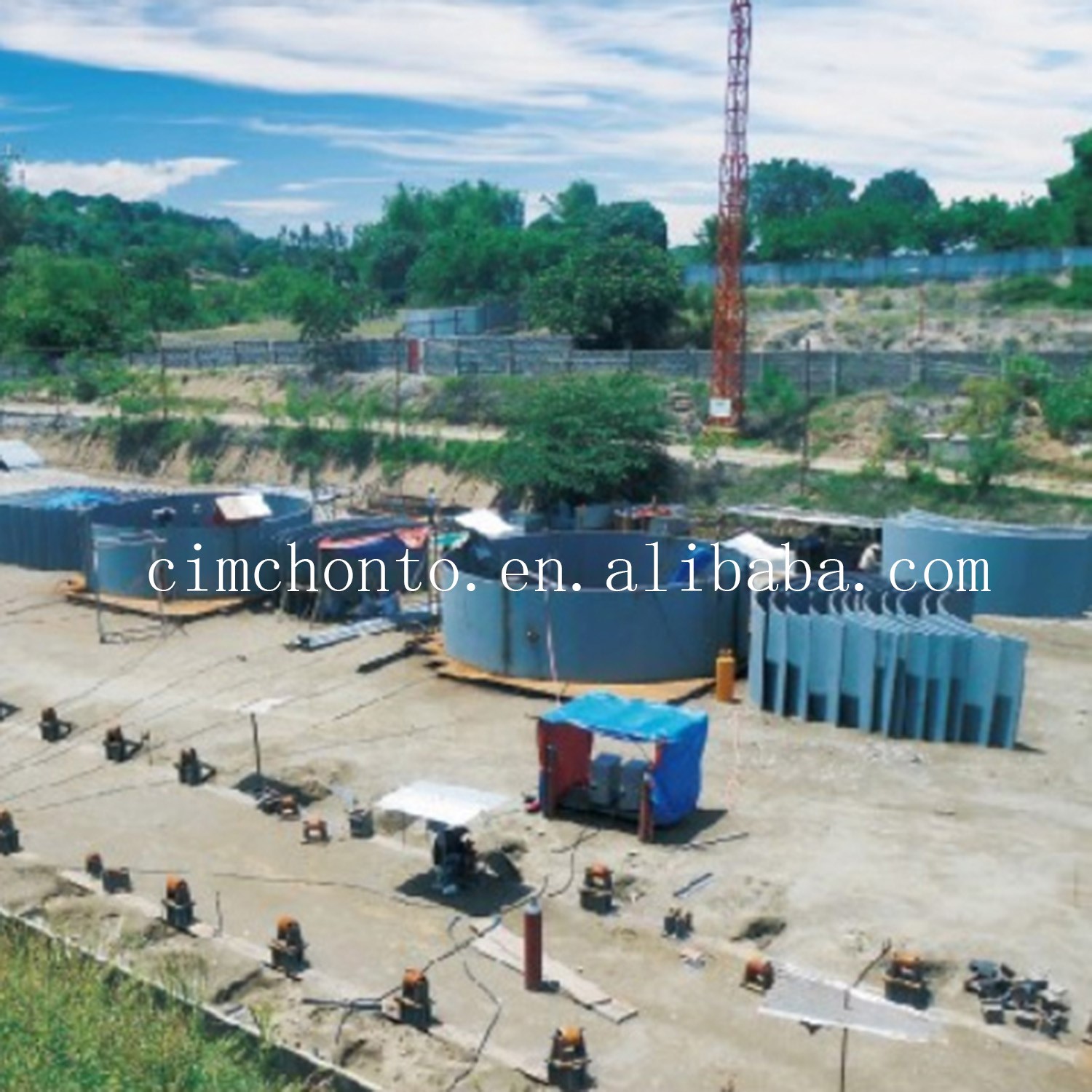 LPGMT-5.jpg LPGMT-5.jpg