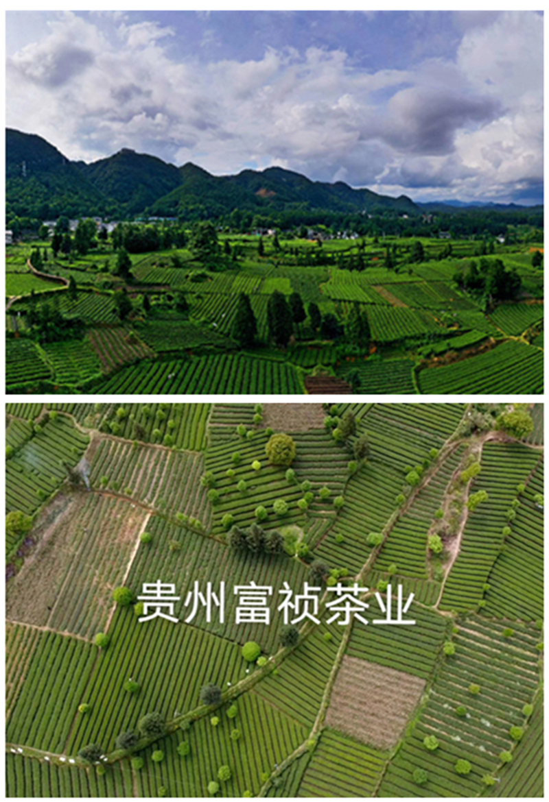 mmexport1603079342785_副本.jpg mmexport1603079342785_副本.jpg