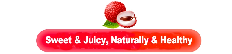 Chinese hot sell fresh lychee/litchi/lichee
