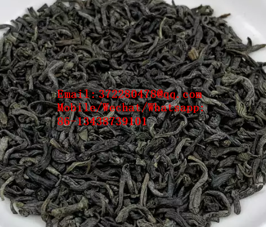 chinese chunmee green tea 41022AAA (2).png