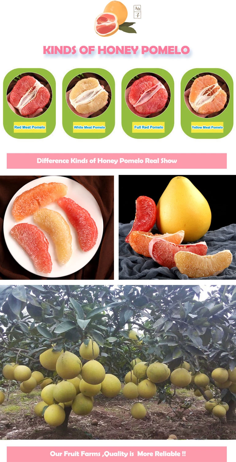 red meat fresh honey pomelo fruit
