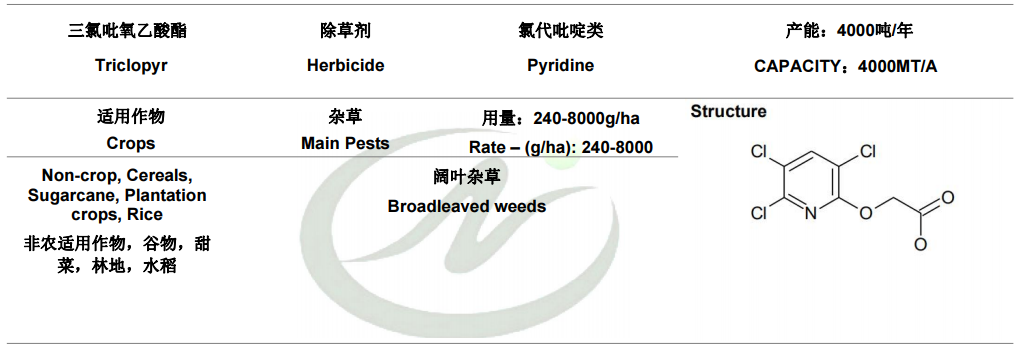 绿草定.png 绿草定.png