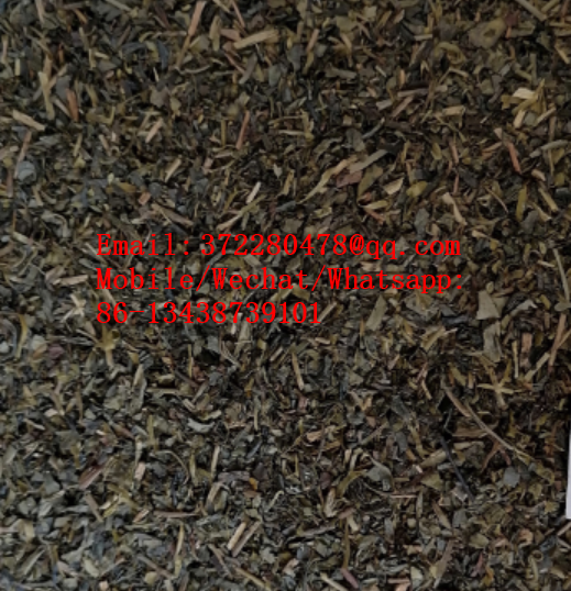 chinese chunmee green tea 41022AAAAA.png