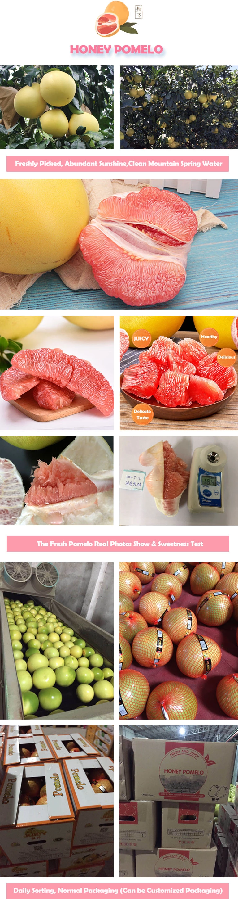 red meat fresh honey pomelo fruit